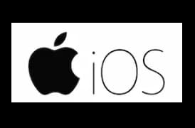 language-icon