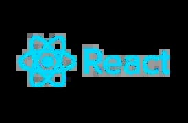 language-icon